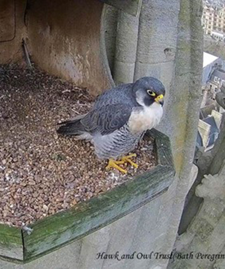 images/Links/Bath%20link2.webp#joomlaImage://local-images/Links/Bath link2.webp?width=462&height=552