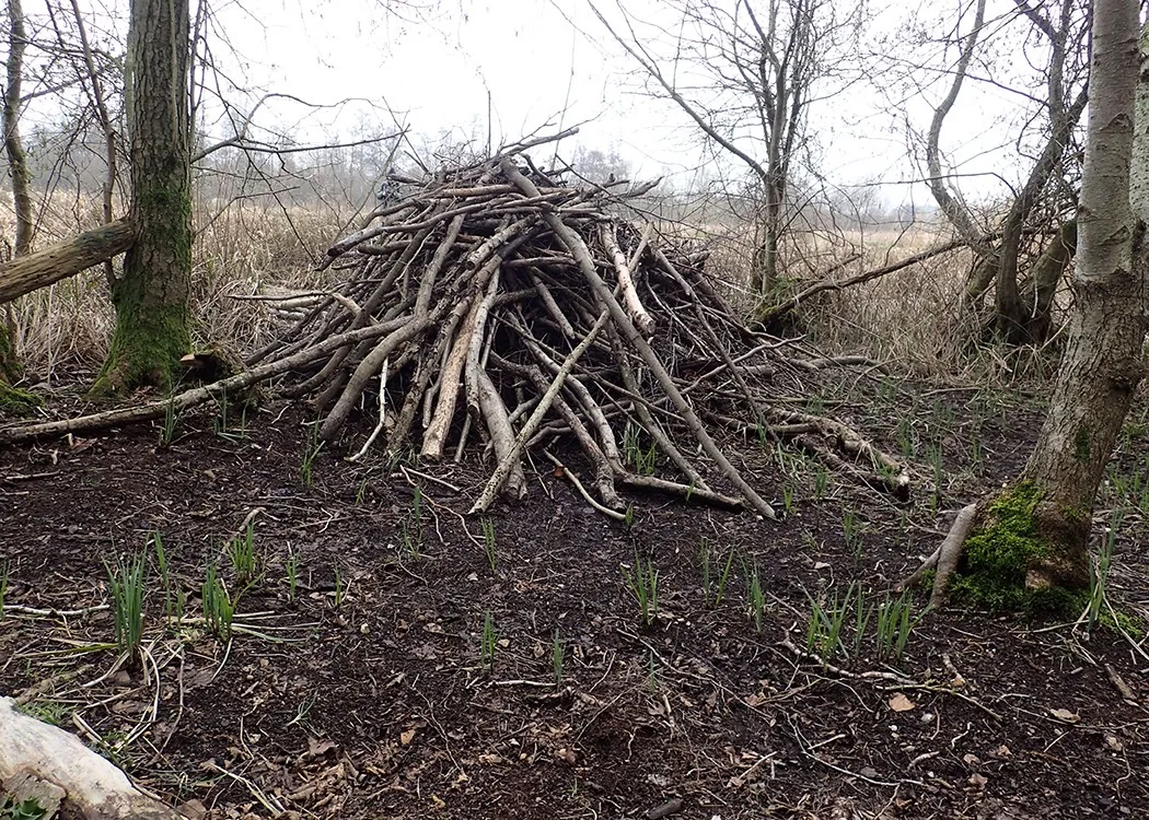 Main Lodge 01 result