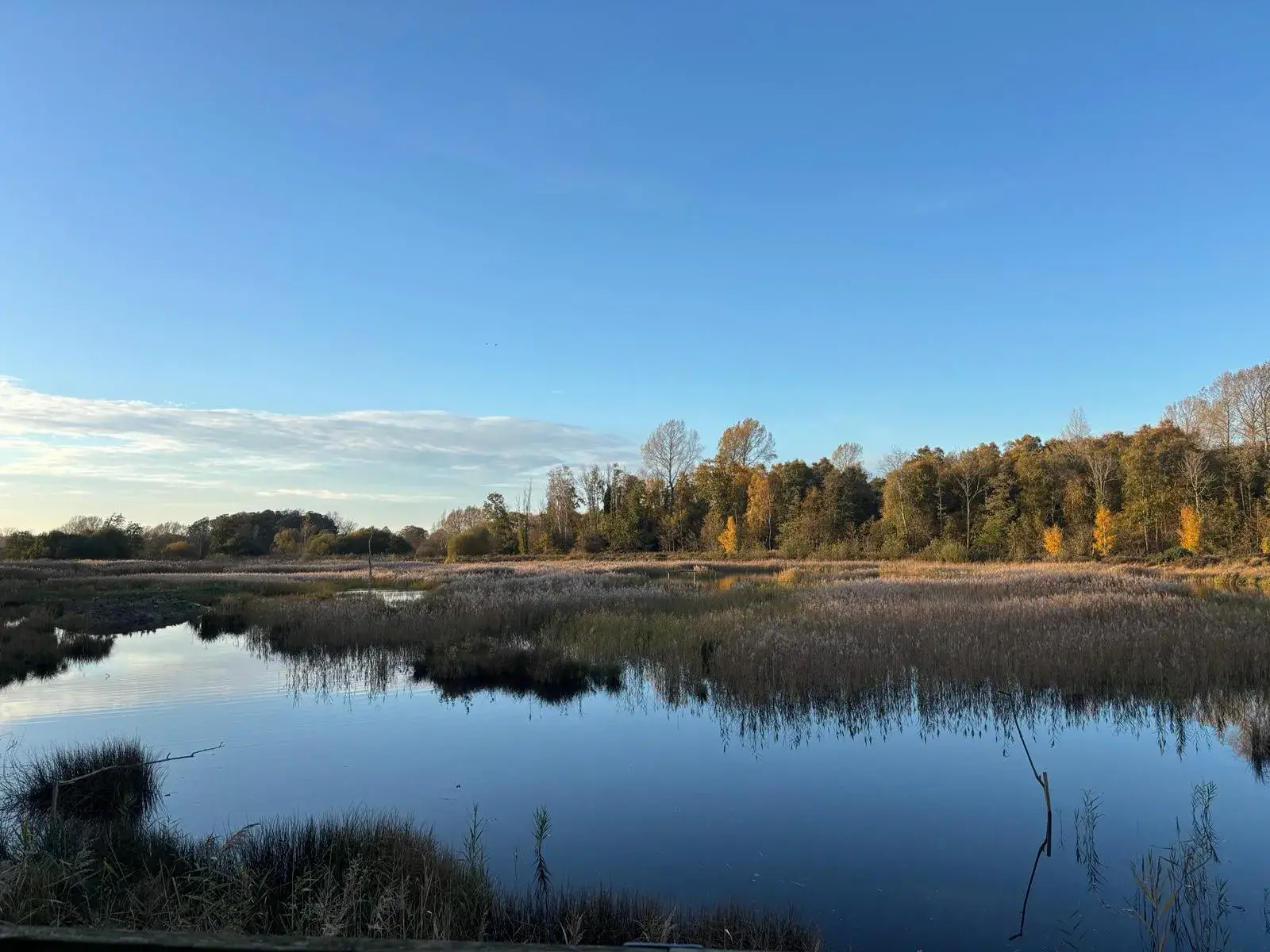 Sculthorpe Moor Wetland