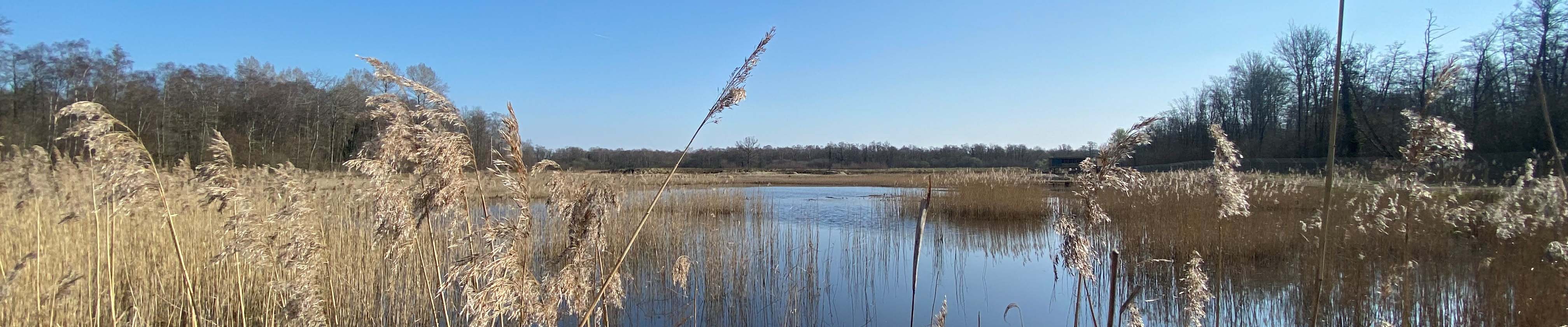 Join us - Sculthorpe Moor Nature Reserve